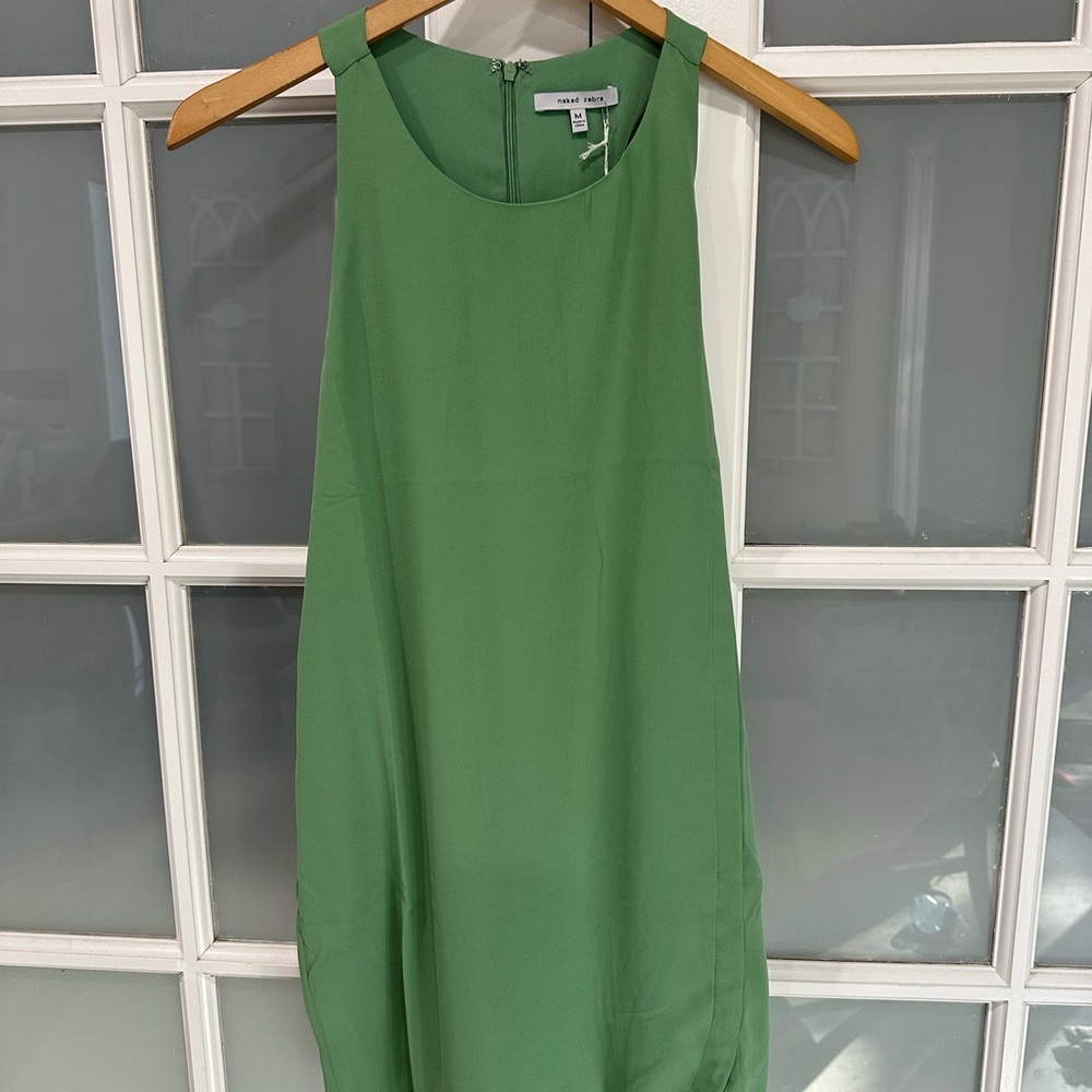 Naked Zebra Mint Green Dress